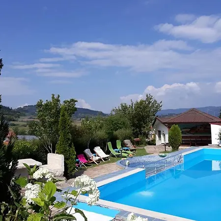Hotel Zenit