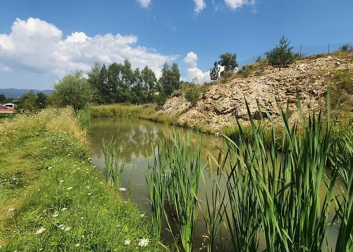 酒店 Zenit Satovcha